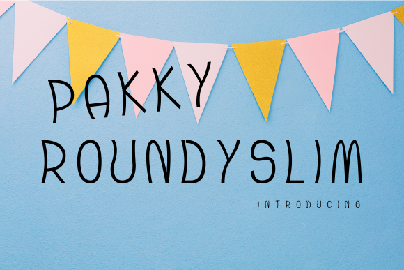 How Pakky Roundyslim Transformed My Campaign Design Workflow